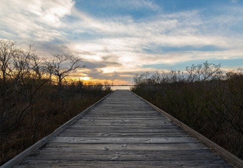 Winter Wellness on Maryland’s Coast